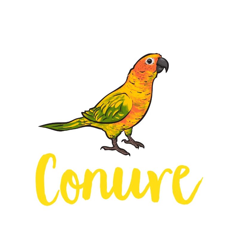 Perruche, Perroquet, Perruche, Oiseau