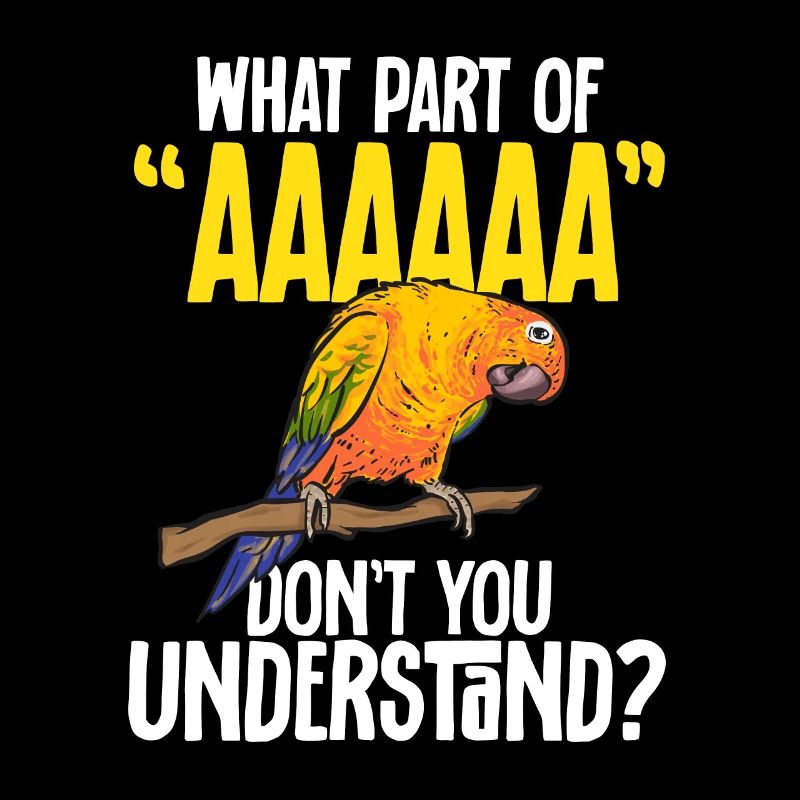 Perruche, Perroquet, Perruche, Oiseau