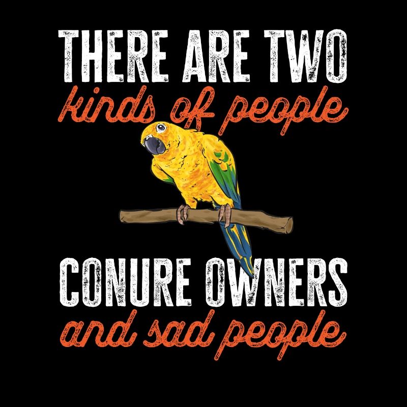 Parakeet, Parrot, Parakeet, Bird