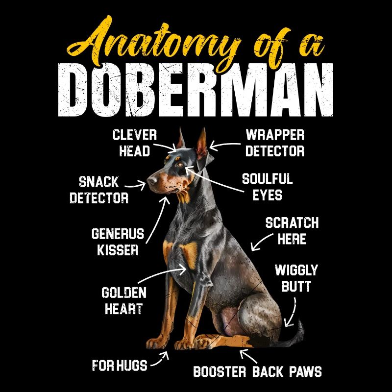 Propriétaire de Doberman ANATOMIE D'UN DOBERMAN Drôle