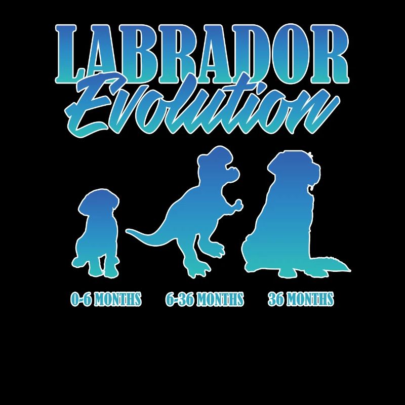 LABRADOR EVOLUTION Labrador Besitzer Lustiges