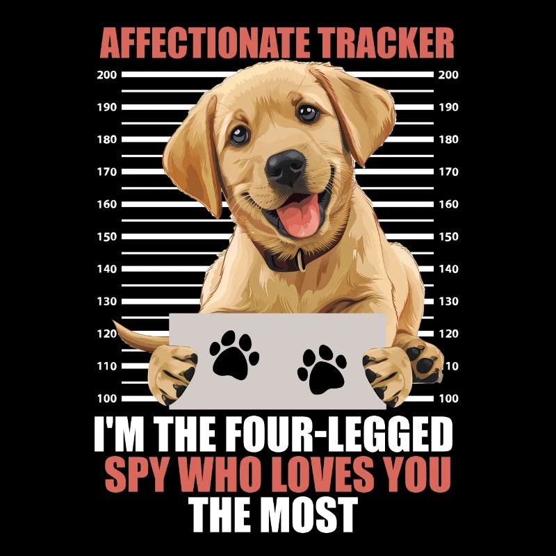 Labrador AFFECTIONATE TRACKER Four Legged Spy