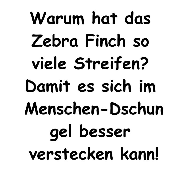 Cadeau de cache-cache