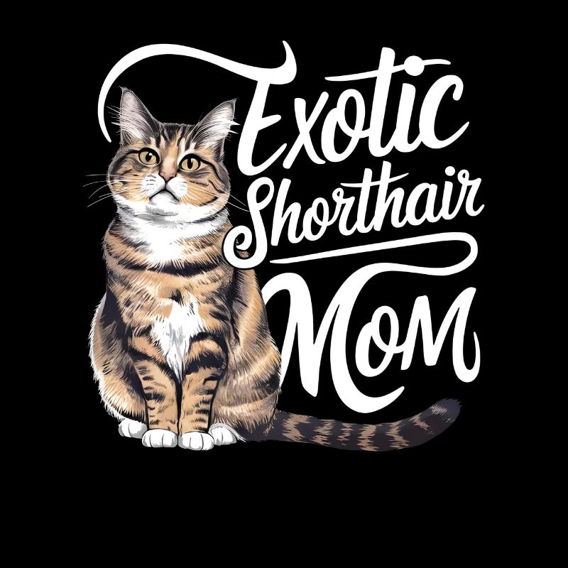 Katze Exotisch Kurzhaar Geschenk
