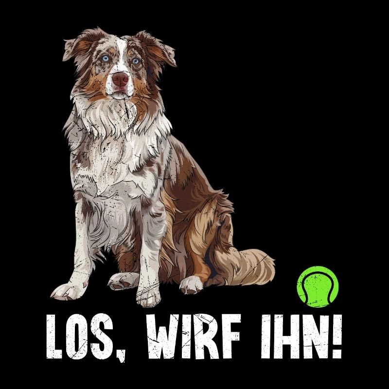 Australian Shepherd COME ON, THROW IT! Fun