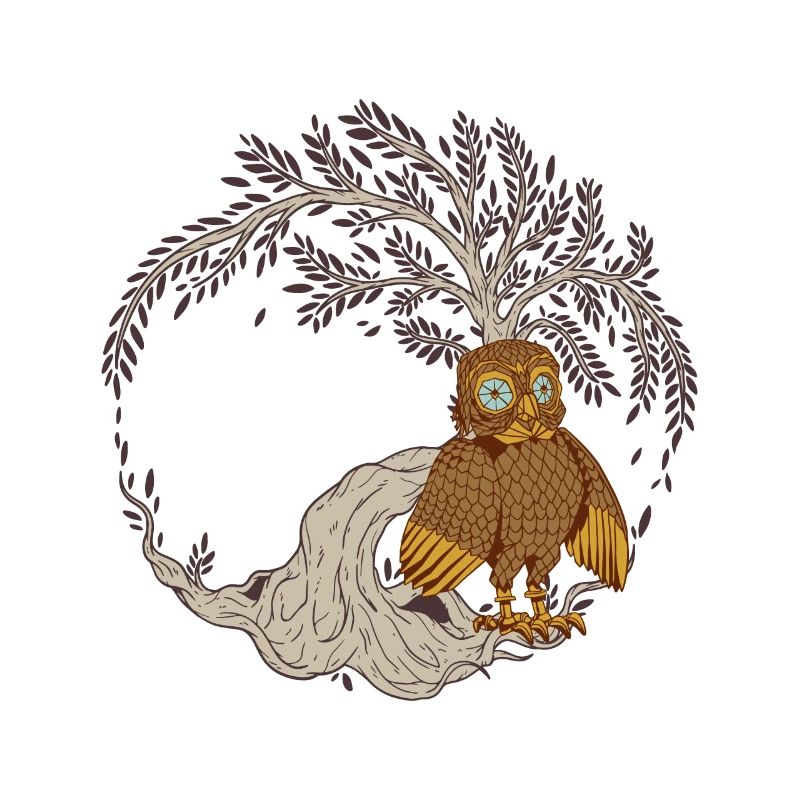 Eule Eulen Märchen Kind Kinder Märchenfigur