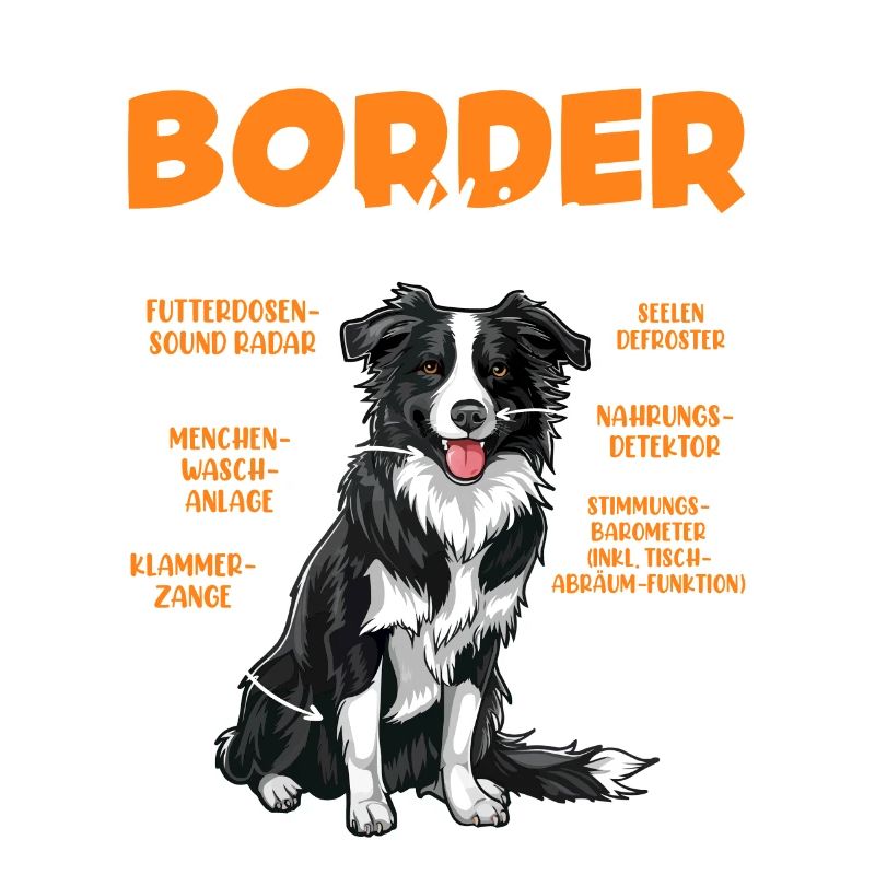 Border Collie ANATOMIE EINES BORDER COLLIES Lustig