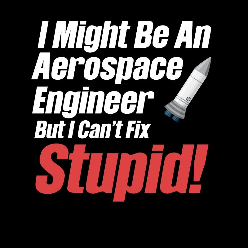 I could be an aerospace engineer,