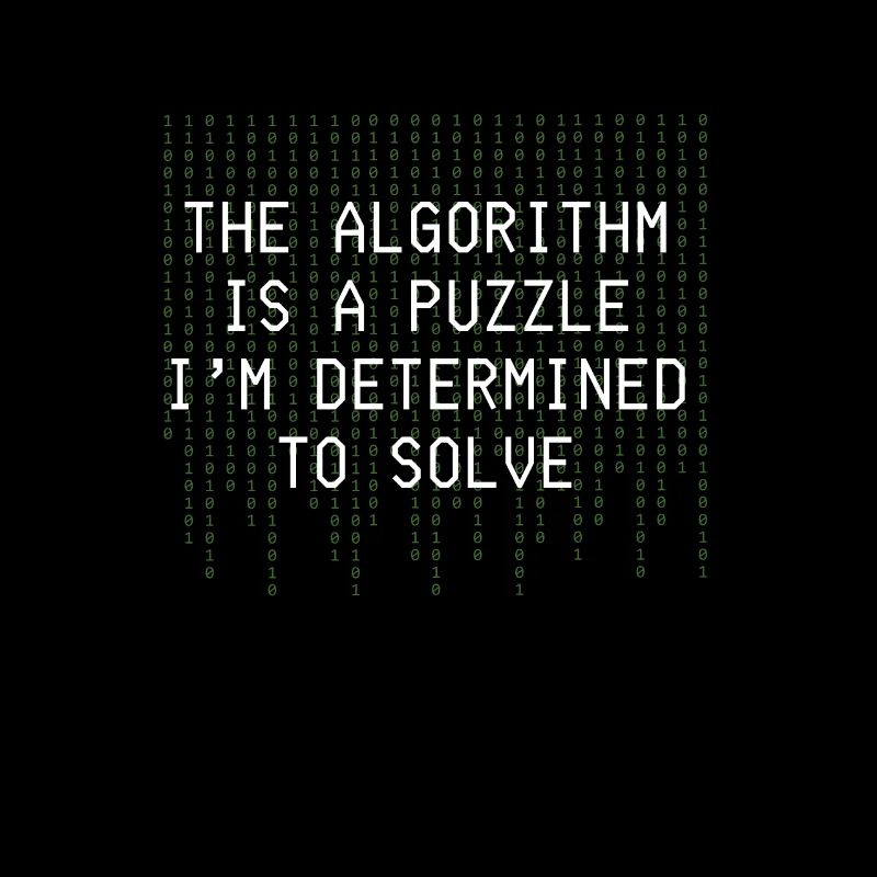 Algorithm Puzzle Solve Binary Code