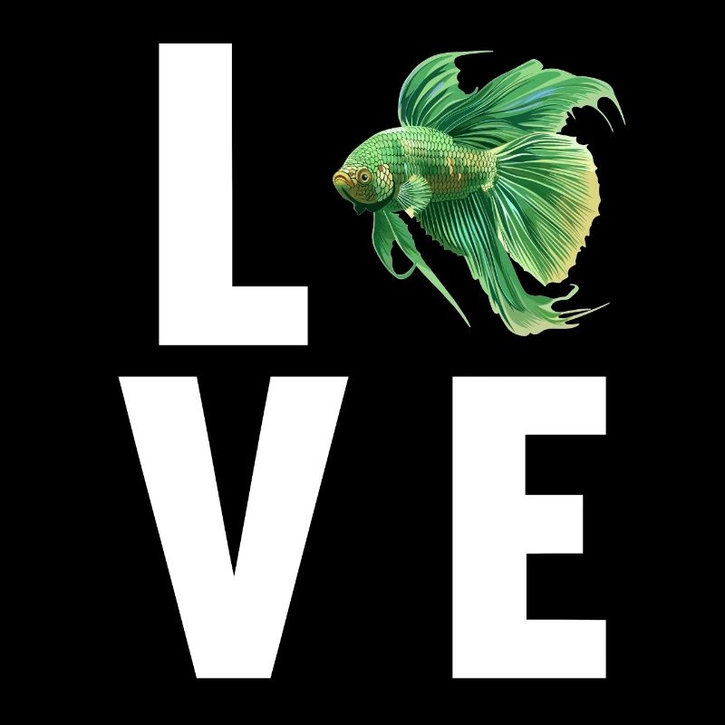 Bettas Betta Poisson Betta