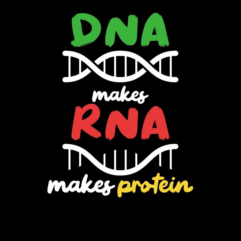 Aus DNA wird RNA wird Protein