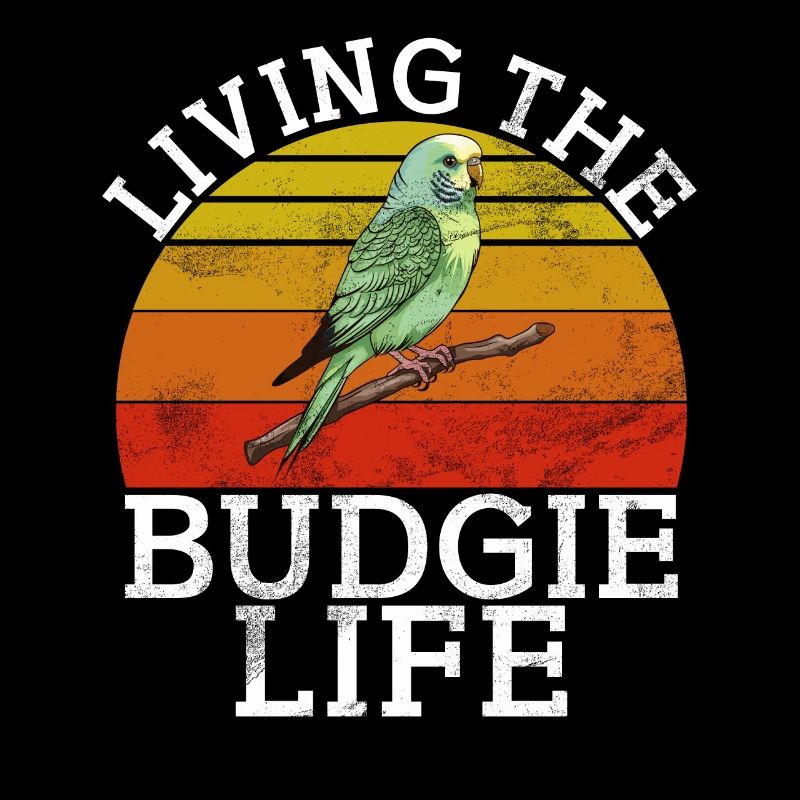 Budgie Gift