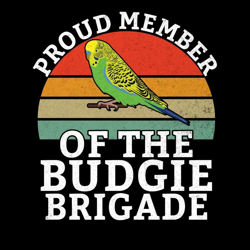 Budgie Gift