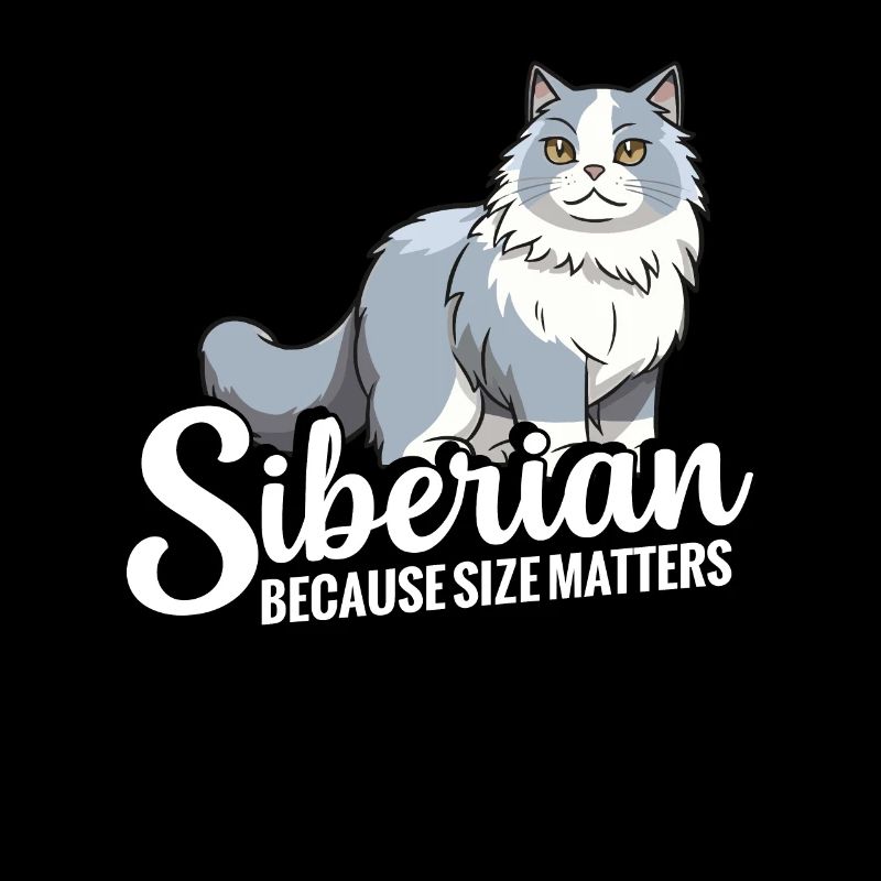 Chat sibérien : parce que la taille compte