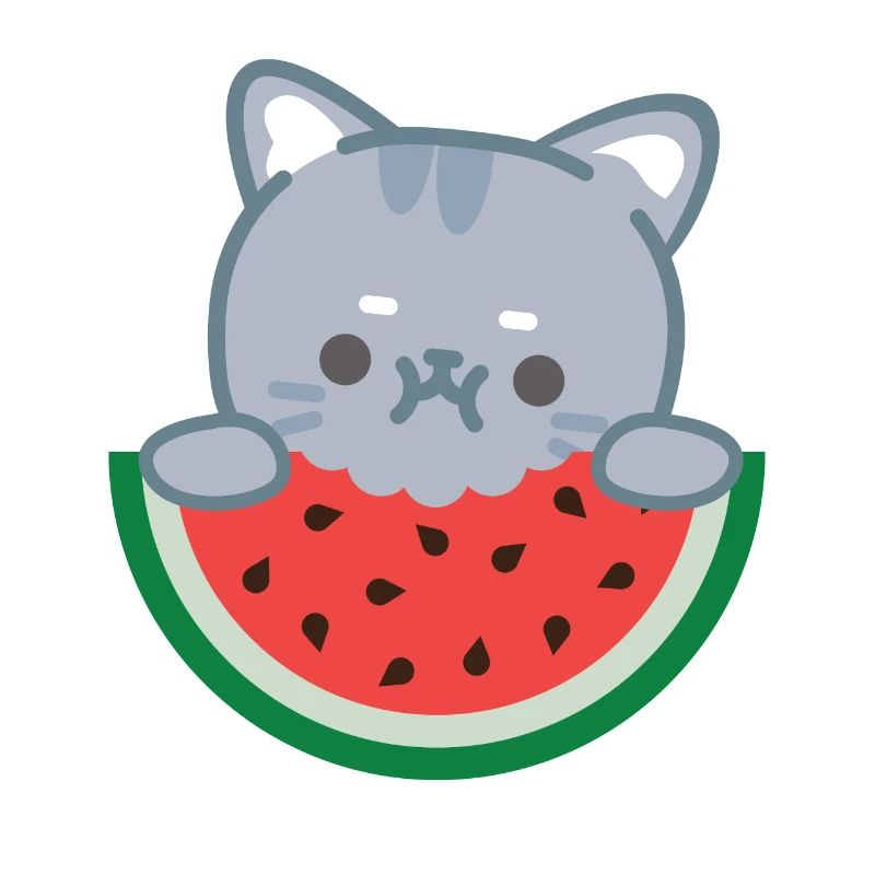 Melon pastèque Fruit d’été Cadeau végétalien