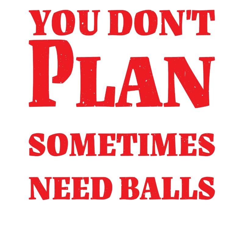 No Plan Needed Just Balls Bro 2