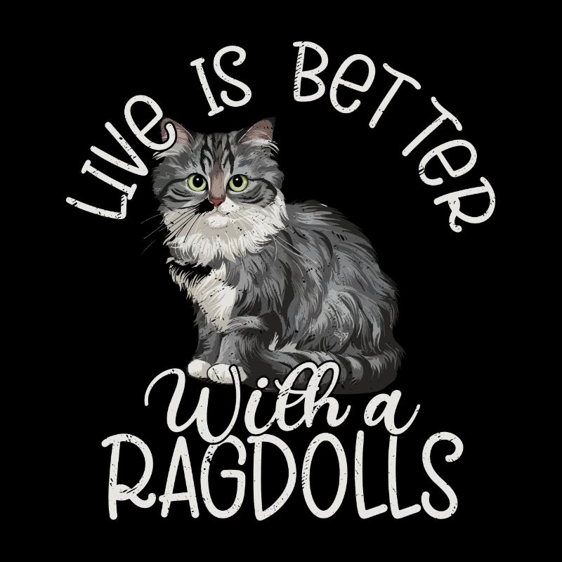 Vivre c’est mieux avec un chaton propriétaire de chat Ragdolls