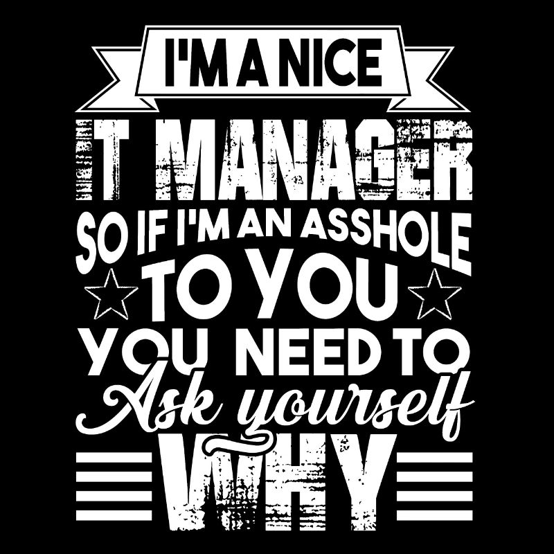 IT Manager I am A Nice IT Manager
