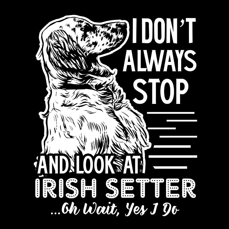 Look At Irish Setter