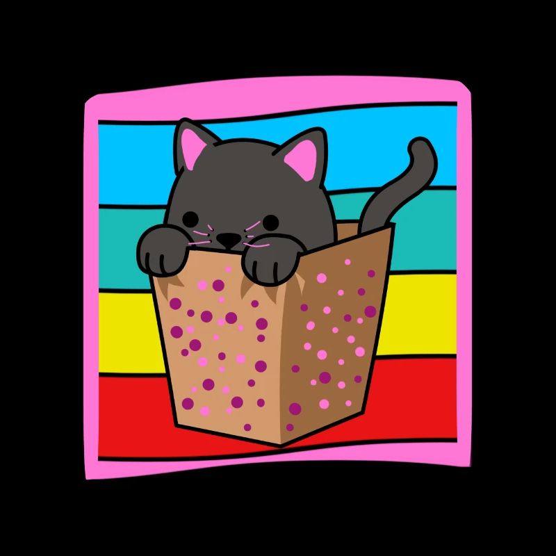 Chat dans une boîte