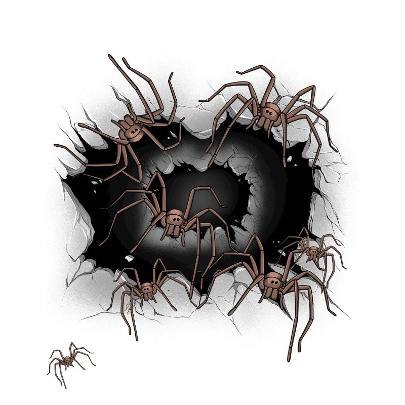 Spider Spiders Halloween