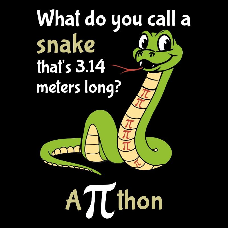 What Do You Call A Snake Pi Tag