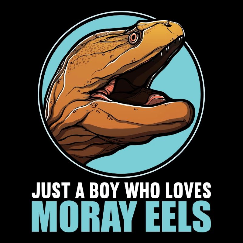Moray eels Moray eel