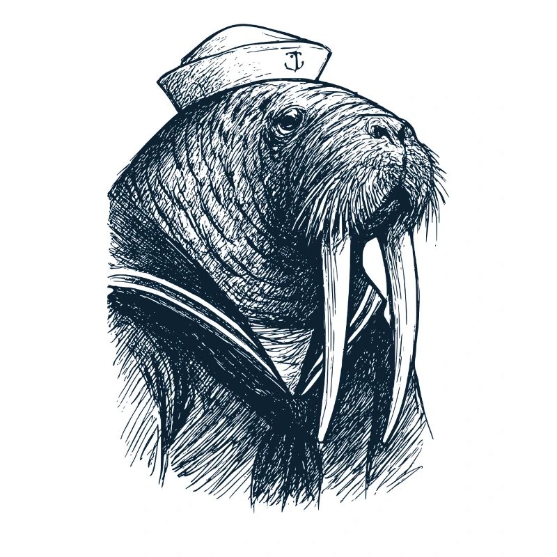 Walrus Captain