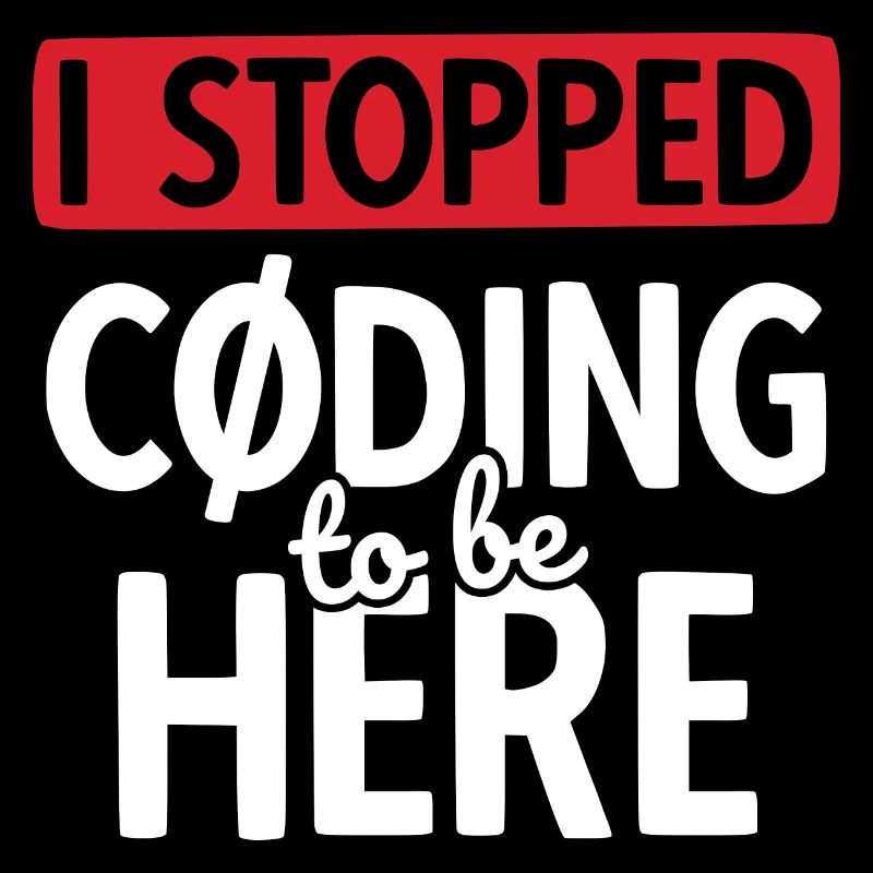 Software Ingenieur Informatiker Programmierer