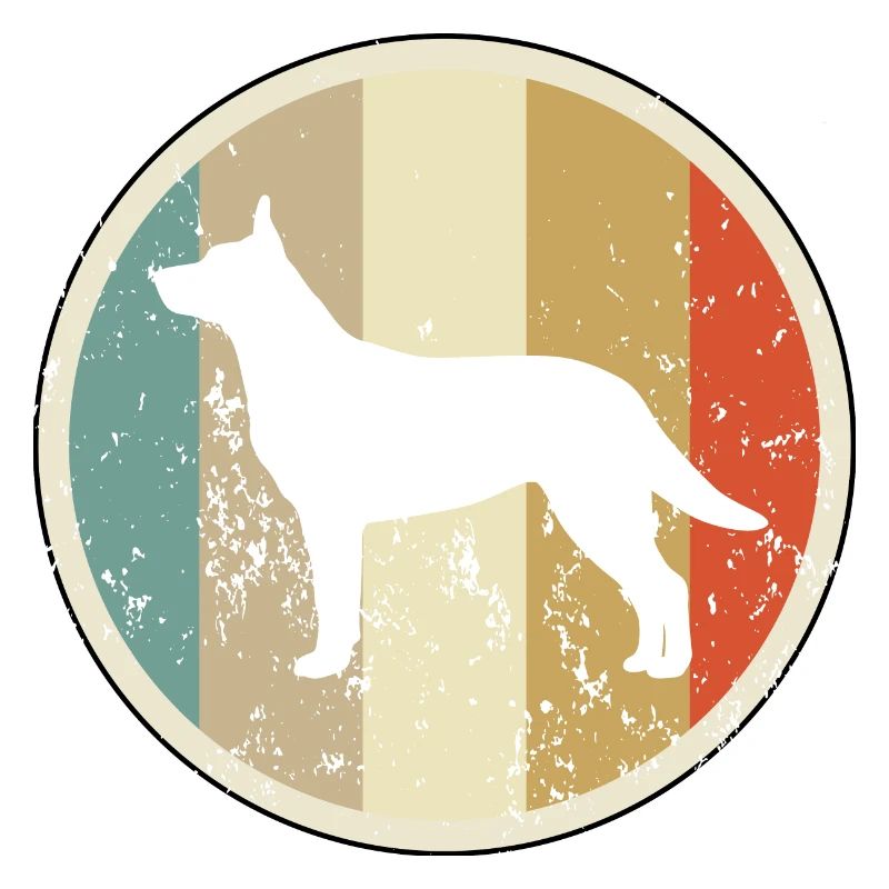 Australischer Australian Kelpie