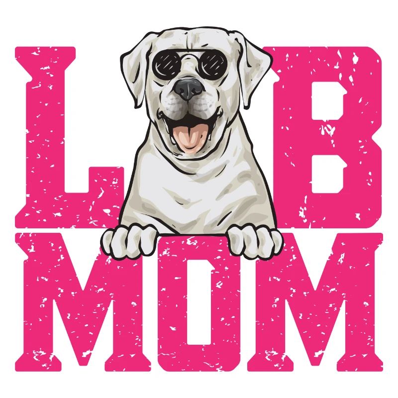 Labrador Retriever blanc Labrador Labrador blanc