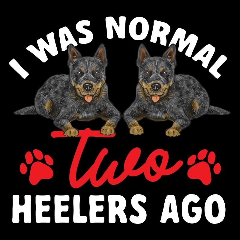 Bouvier australien Red Blue Heeler