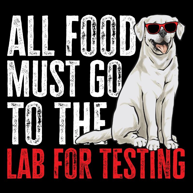 Labrador Retriever blanc Labrador Labrador blanc