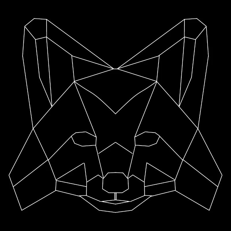 Fuchs polygons white