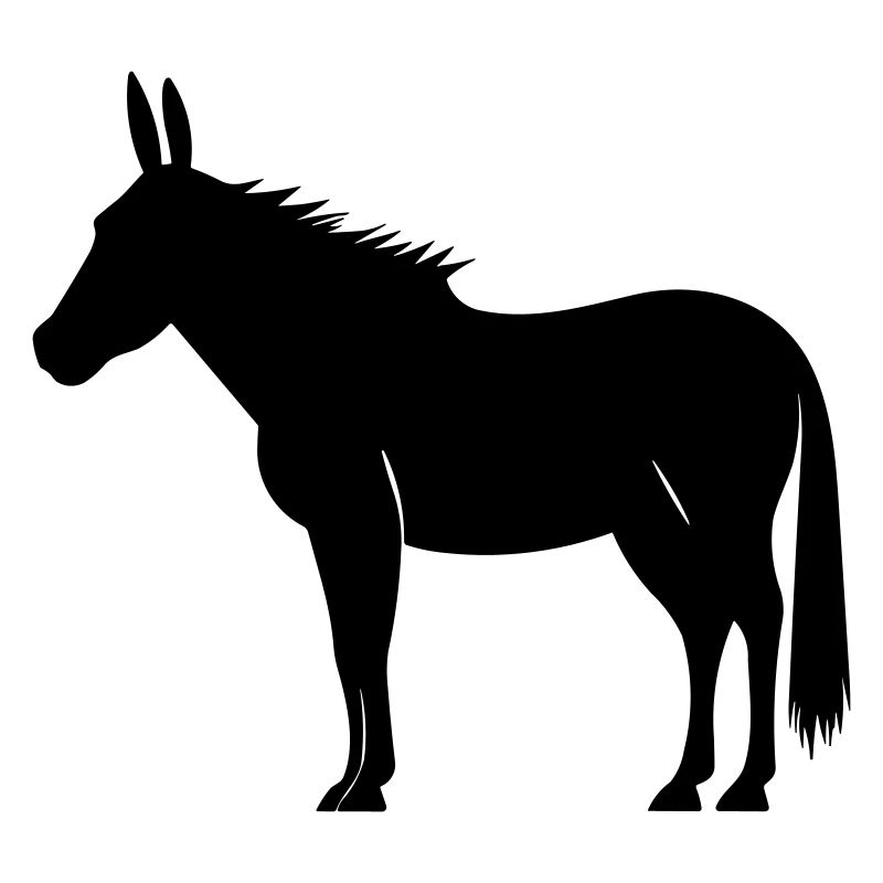 donkey