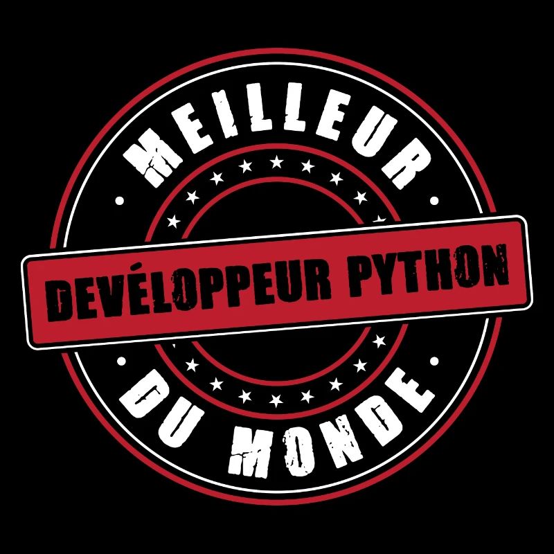 Meilleur développeur python profession métier PC
