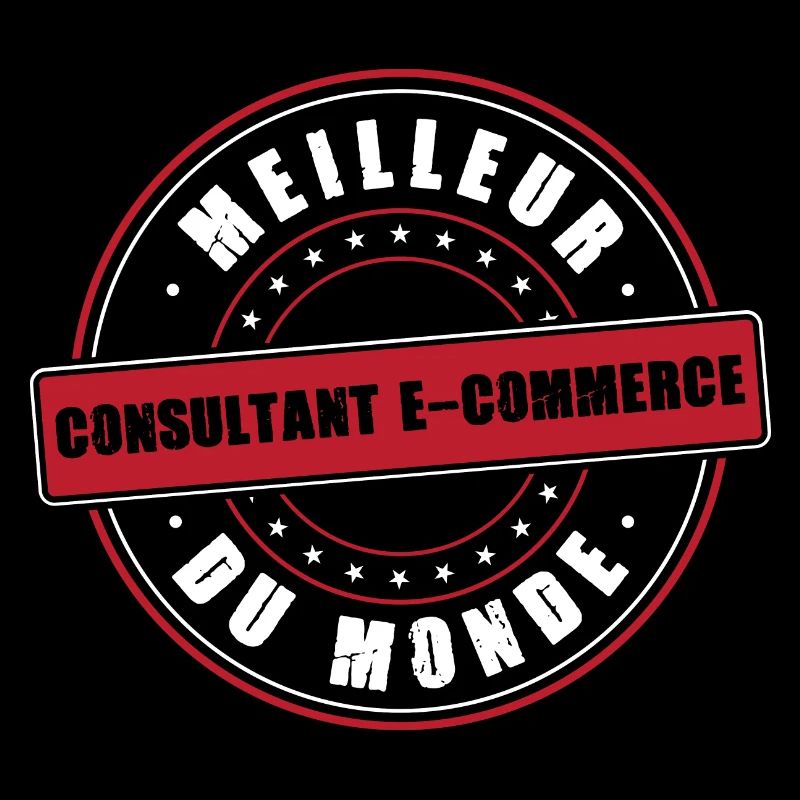 Meilleur consultant e commerce profession métier