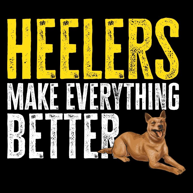 Bouvier australien Red Blue Heeler
