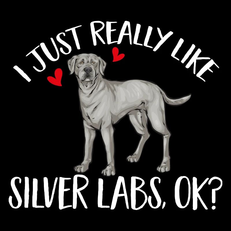 Silver Labrador Retriever Silver Lab