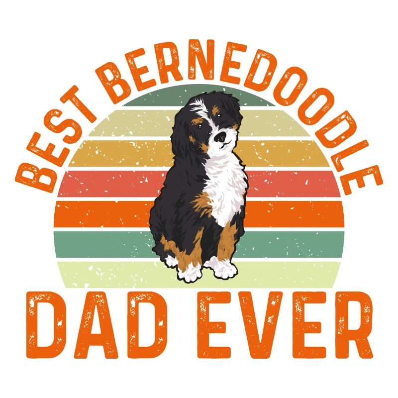 Bernedoodle Hund