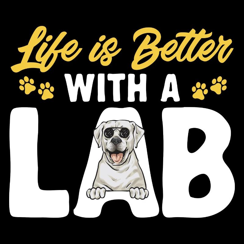 Labrador Retriever blanc Labrador Labrador blanc