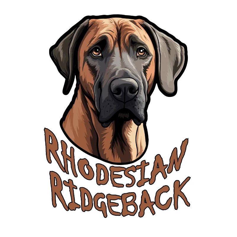 Chien Rhodesian Ridgeback
