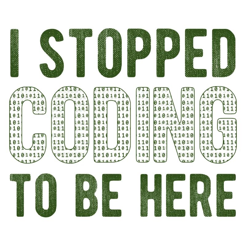 Software Ingenieur Informatiker Programmierer