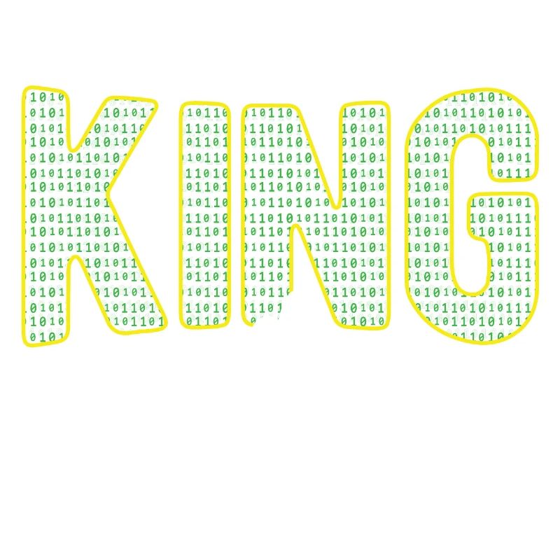 Software Ingenieur Informatiker Programmierer