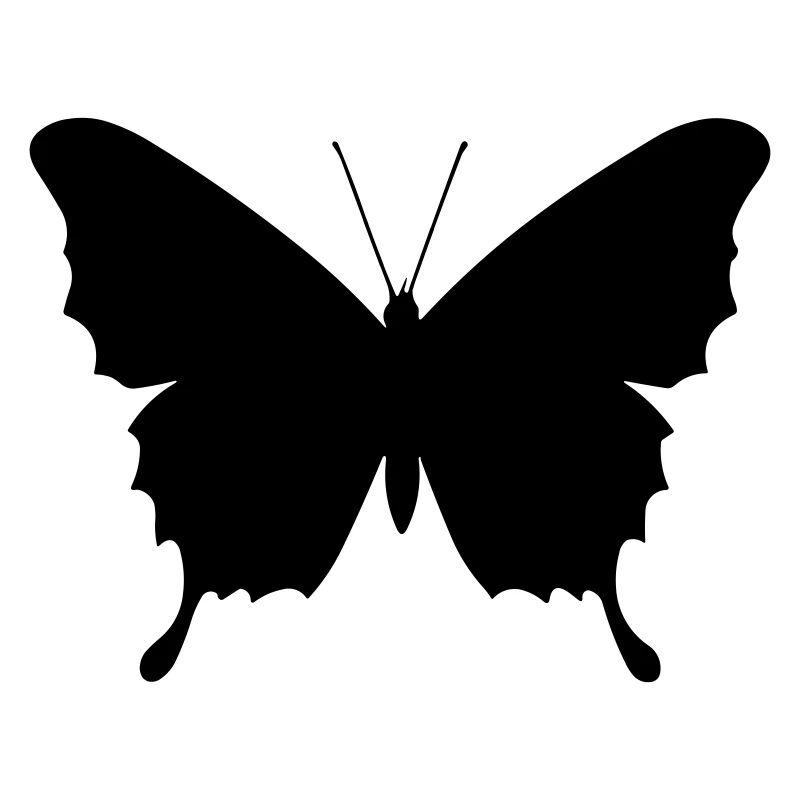 Petit papillon