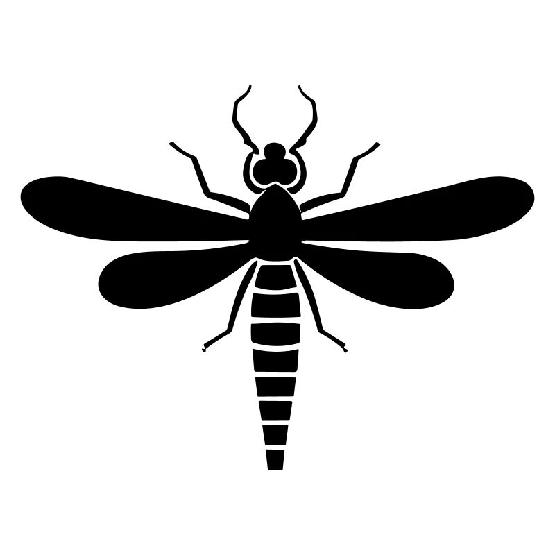 Libellule