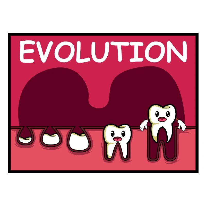 Tooth development. Dentist Gift