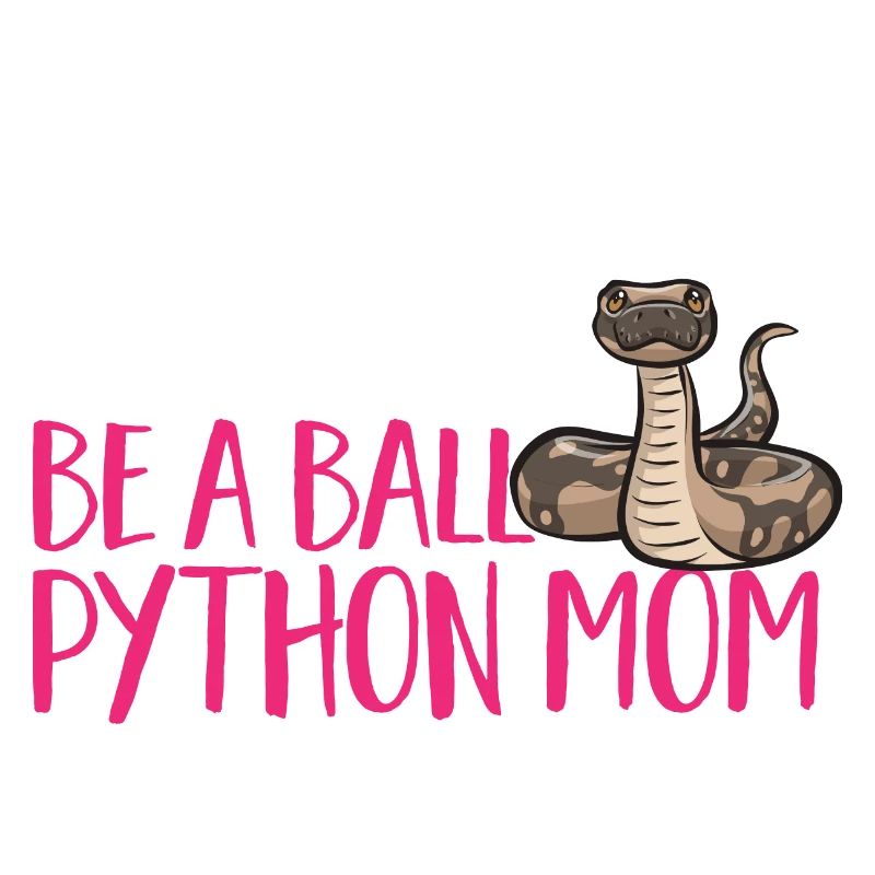 Ball Python Schlange Königspython