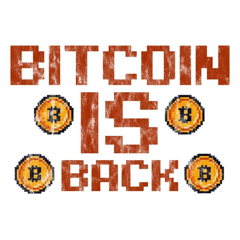 Bitcoin Is Back 3