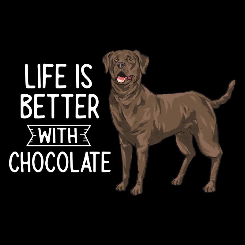 Chien Labrador Retriever chocolat